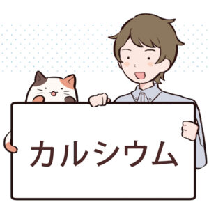 カルシウムが筋肉に与える影響とその重要性