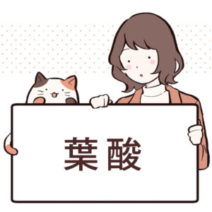 葉酸とは？働きや含まれる食べ物について