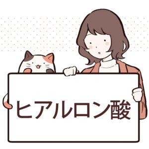 ヒアルロン酸とは？効果や含まれる食べ物について