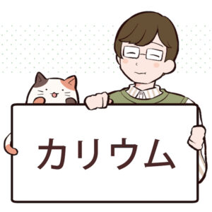 カリウムとは？効果や含まれる食べ物について