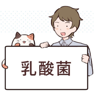 乳酸菌の効果や含まれる食べ物について