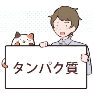 タンパク質の効果や含まれる食べ物について