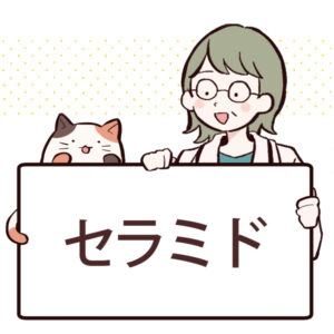 セラミドとは？効果や含まれる食べ物について