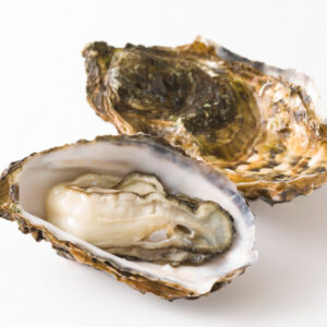 牡蠣に含まれる栄養素とその効果とは？