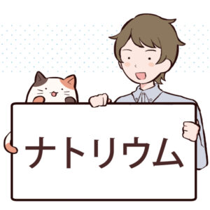 ナトリウムとは？働きや含まれる食べ物について