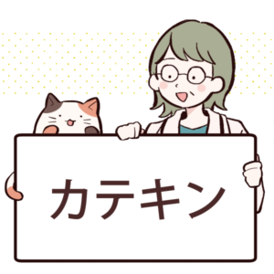 カテキンとは？緑茶に含まれる成分とその殺菌効果