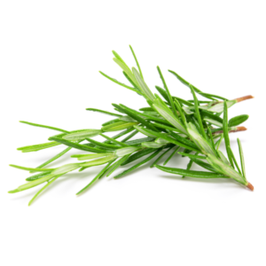 ローズマリーとは？栄養素と効果について