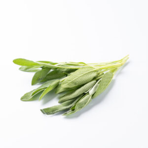 セージとは？豊富な精油成分の効果について