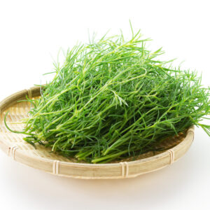 おかひじきとは？豊富な栄養素と効果について