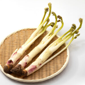 うどとは？気になる栄養素について