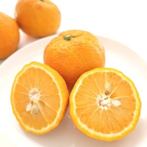 じゃばらとは？豊富に含まれるビタミンCの効果