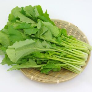 畑菜とは？高い栄養価について