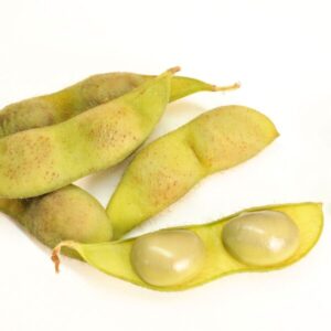 紫ずきんとは？豊富な栄養素について