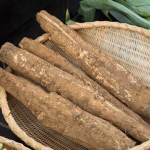 堀川ごぼうとは？豊富な食物繊維が便秘予防や改善に