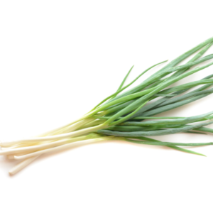 九条ねぎに含まれる栄養素とは？