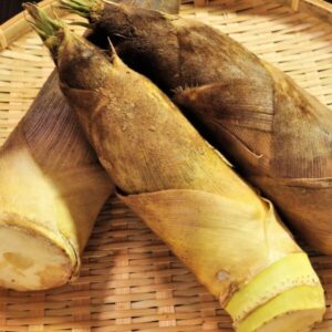 京たけのことは？栄養素と効果について