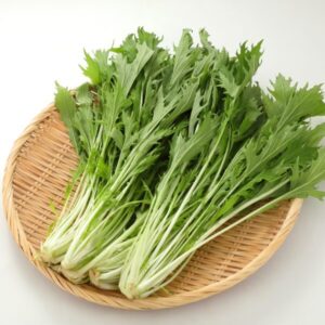 みず菜とは？豊富な栄養素と効果について