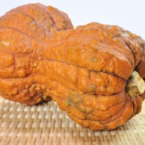 鹿ケ谷かぼちゃとは？高い栄養価について
