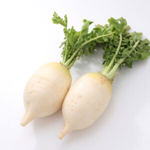 聖護院だいこんとは？栄養素と効果について