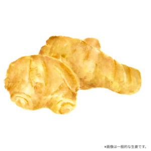 きな生姜とは？栄養素と効果について