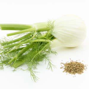 フェンネルとは？栄養素と効果について