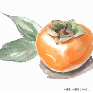 大枝柿とは？効果と栄養素について