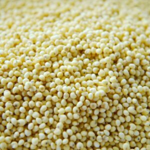 キビ（イナキビ）とは？効果と栄養素について