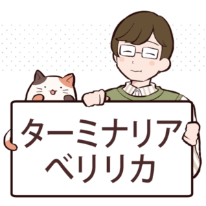 ターミナリアべリリカとは？効果と栄養素について