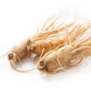 高麗人参（オタネニンジン）とは？効果と栄養素について