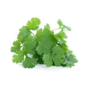 香菜とは？効果と栄養素について