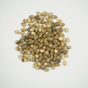 マシニン(麻子仁）とは？効果と栄養素について