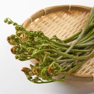 わらびとは？効果と栄養素について