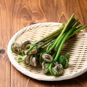 ぜんまいとは？効果と栄養素について