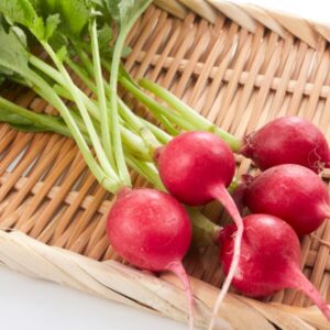 はつか大根とは？効果と栄養素について