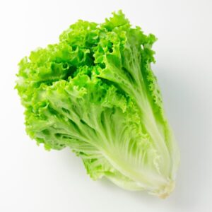 リーフレタスとは？効果と栄養素について