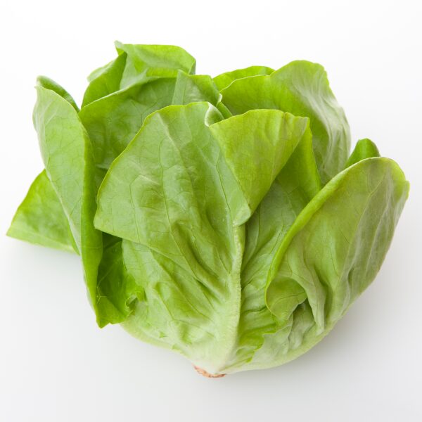 サラダ菜